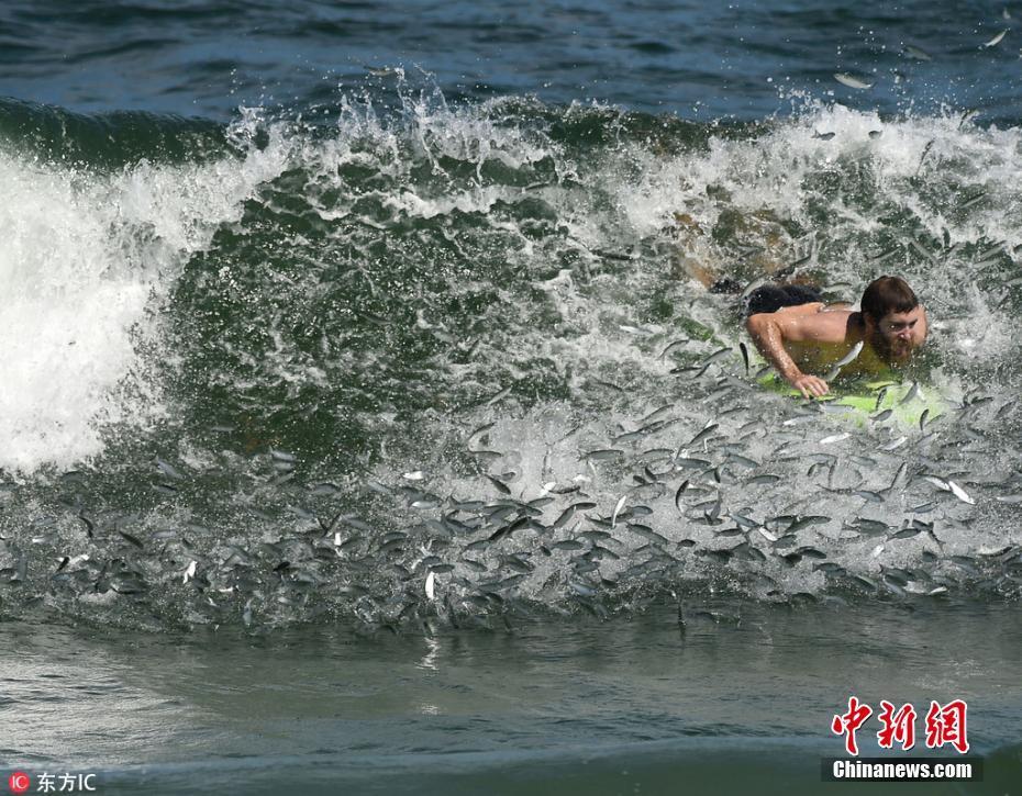 【淮阳海报】岁月静好，我们与时间也擦肩而过