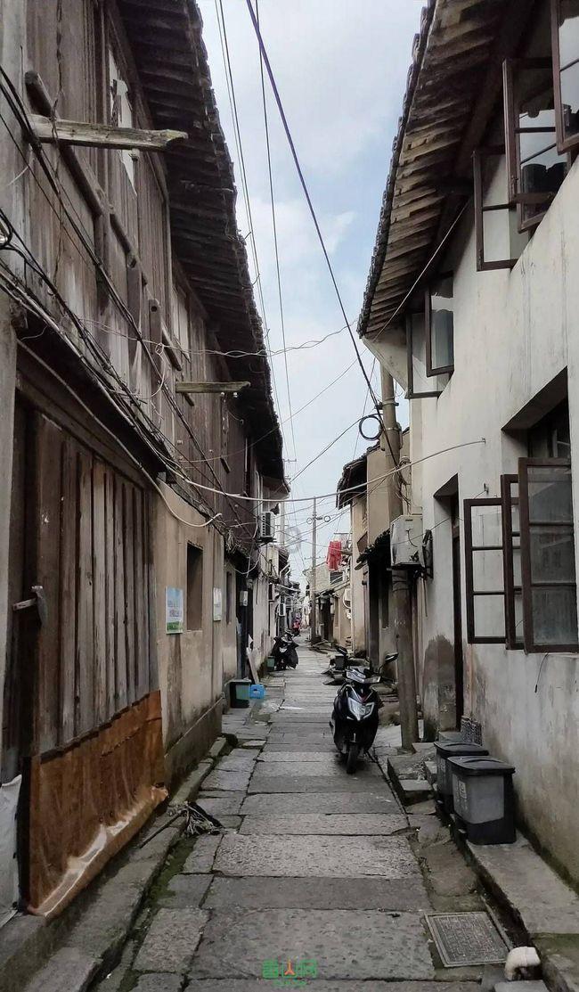 小鸡要回家